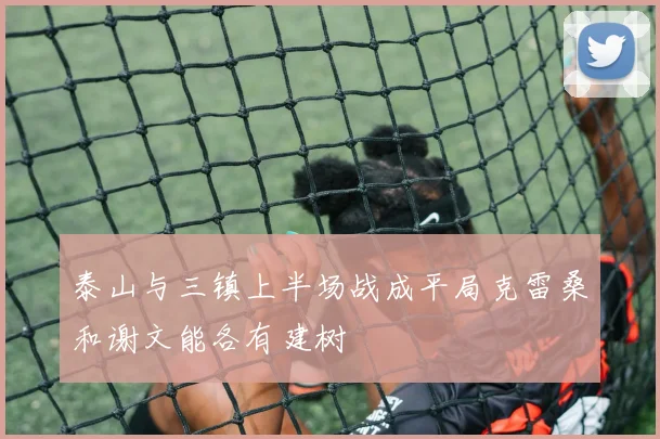 泰山与三镇上半场战成平局克雷桑和谢文能各有建树